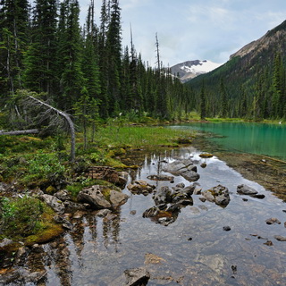 Yoho NP - Iceline Trail